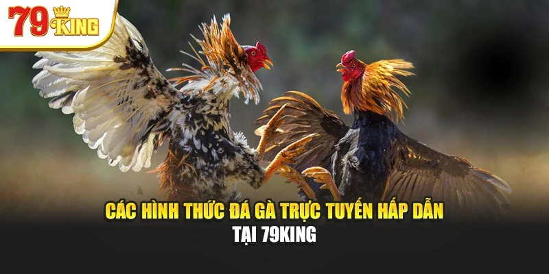 Các hình thức đá gà trực tuyến hấp dẫn tại 79King
