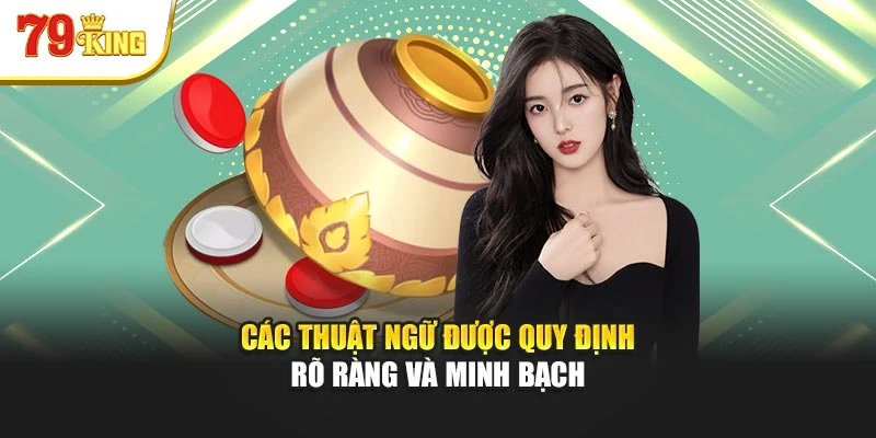 Các thuật ngữ được quy định rõ ràng và minh bạch