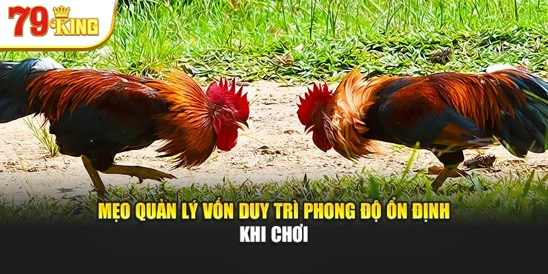 Mẹo quản lý vốn duy trì phong độ ổn định khi chơi